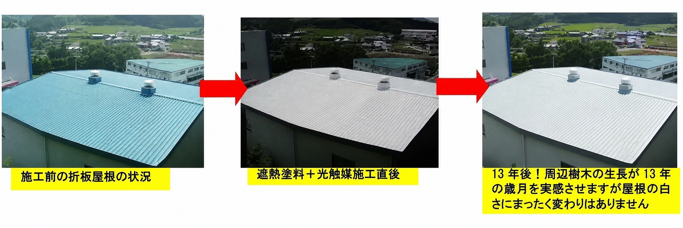 施工前・施工直後・13年後の比較（視認性向上のため手前の樹木を画像処理）